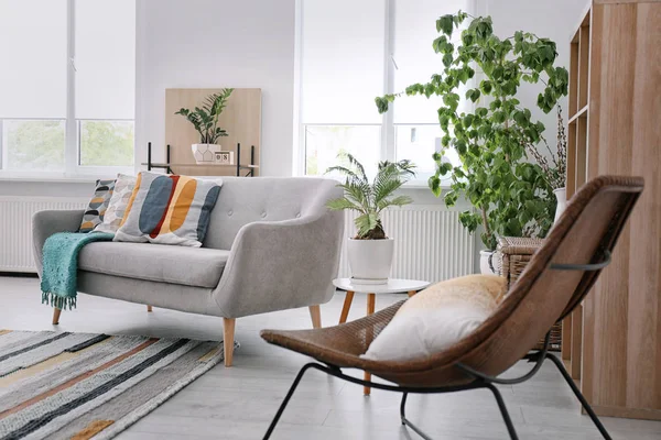 Elegant Living Room Interior Comfortable Sofa Striped Carpet — Stock Photo, Image