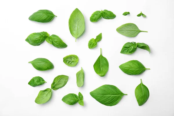 Fresh Green Basil Leaves White Background Top View — Stock Photo, Image