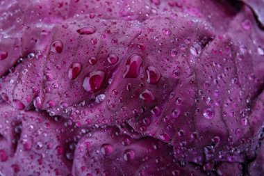 Olgun kırmızı lahana suyu ile arka plan olarak, closeup damla