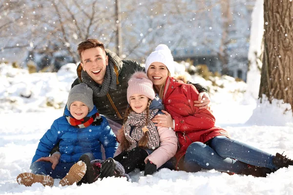 Kış Park Mutlu Bir Aile Portresi — Stok fotoğraf