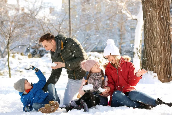 Mutlu Aile Kış Parkında Eğleniyor — Stok fotoğraf
