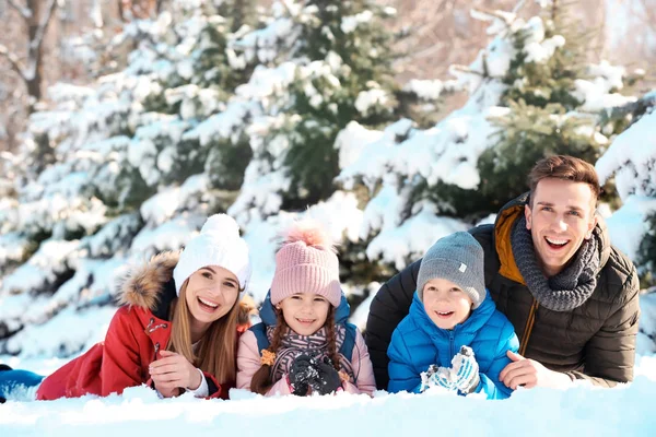 Ritratto Famiglia Felice Nel Parco Invernale — Foto Stock