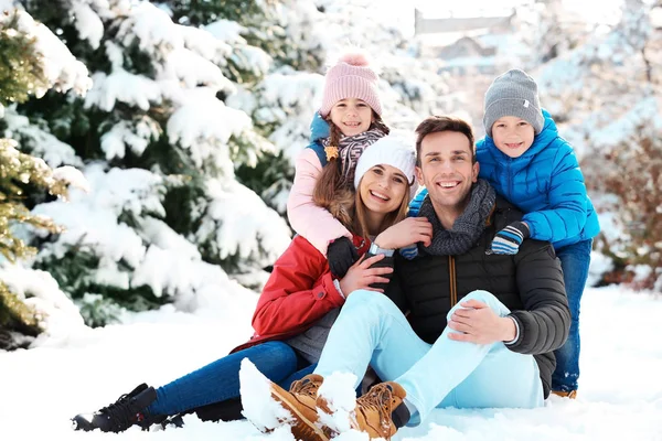 Kış Park Mutlu Bir Aile Portresi — Stok fotoğraf