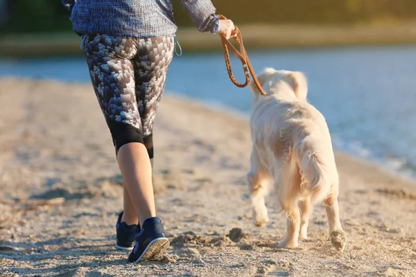 Mujer Joven Con Perro Juntos Playa Cuidado Mascotas — Foto de Stock