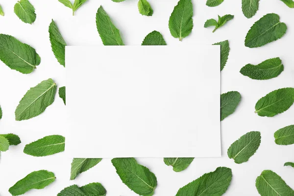 Flat Lay Composition Fresh Green Mint Leaves White Background — Stock Photo, Image