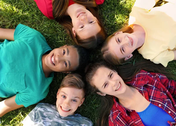 平面図 草の上に横になっている子供のグループ 夏のキャンプ — ストック写真