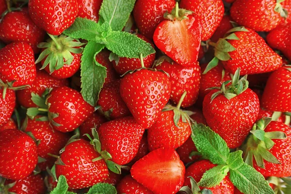 Fresas Rojas Maduras Menta Como Fondo — Foto de Stock