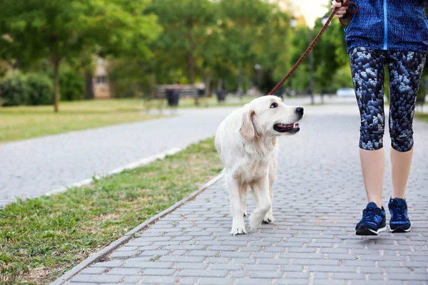 Young Woman Her Dog Together Park Pet Care — Stock Photo, Image