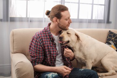 Kanepede kapalı sahibi ile Adorable sarı labrador geri almak