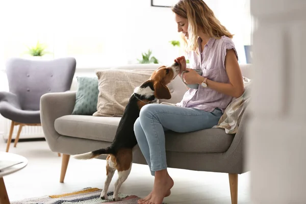 Young woman with her dog at home
