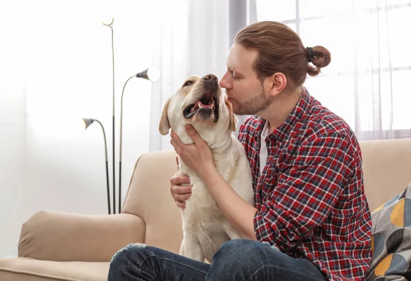 Bedårande Gula Labrador Retriever Med Ägaren Soffan Inomhus — Stockfoto