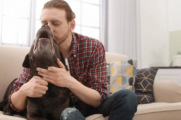 Adorable Labrador Brun Récupérateur Avec Propriétaire Sur Canapé Intérieur — Photo