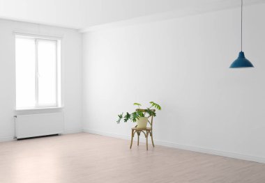 Pencere ve houseplant sandalyede oturma odası iç