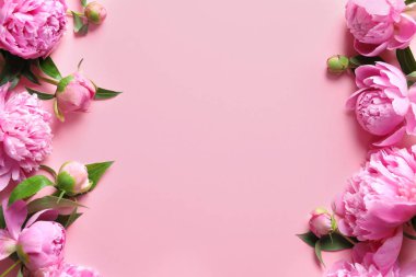 Güzel kokulu şakayık çiçekleri renk arka plan üzerinde