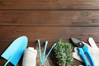 Bahçe aletleri ile kompozisyon yat ve ahşap arka plan üzerinde bitki