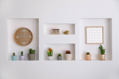 Dekorasyonda niş olarak güzel farklı kaktüsler