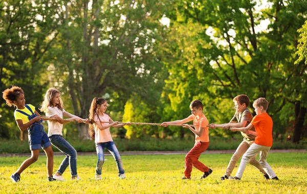 Милі Маленькі Діти Грають Мотузкою Відкритому Повітрі Сонячний День — стокове фото