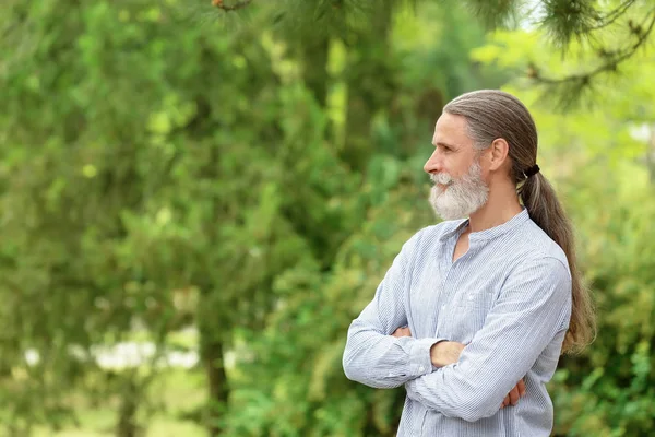 Beau Barbu Mature Homme Dans Vert Parc — Photo