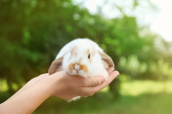 Frau Hält Entzückendes Häschen Auf Verschwommenem Hintergrund — Stockfoto