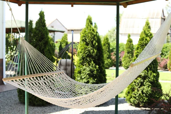 Beautiful English style garden with comfortable hammock on sunny day