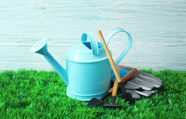 Set Professional Gardening Tools Artificial Grass — Stock Photo, Image