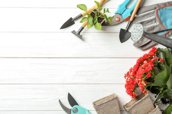 Composizione Laica Piatta Con Piante Attrezzi Giardinaggio Professionali Sfondo Legno — Foto Stock