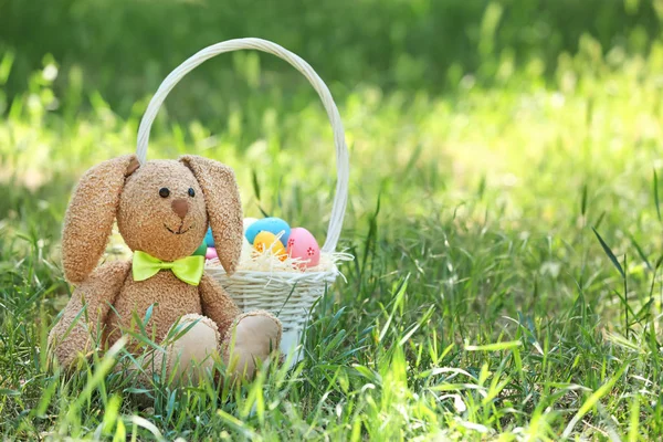 玩具兔子和篮子与复活节蛋在草 — 图库照片