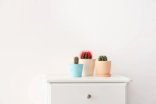 Beaux Cactus Sur Table Sur Fond Clair — Photo