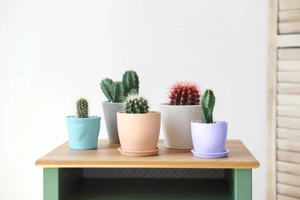 Beaux Cactus Différents Dans Des Pots Sur Table — Photo