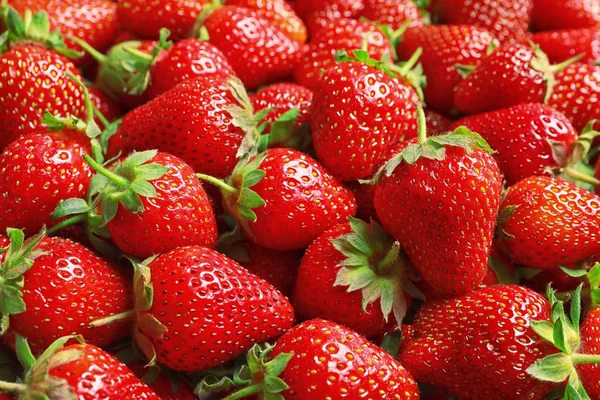 Muchas Fresas Maduras Frescas Como Fondo Primer Plano — Foto de Stock