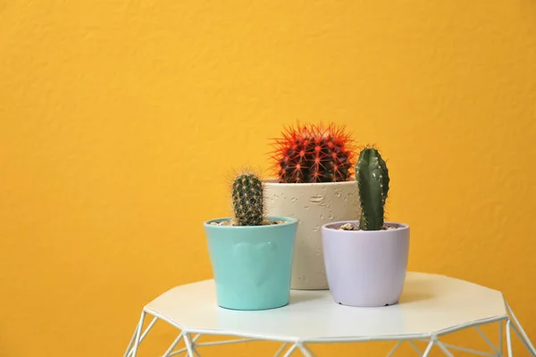 Piękne Kaktusy Doniczki Stole Pobliżu Kolor Ściany — Zdjęcie stockowe