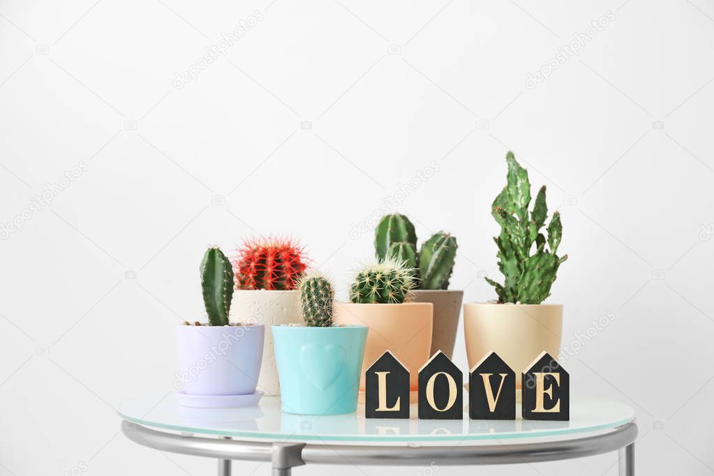 Beautiful cacti on table against light background