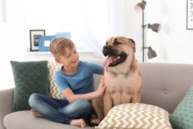 Sevimli küçük çocuk ile köpek evde kanepede