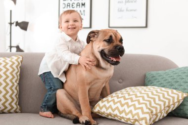 Sevimli küçük çocuk ile köpek evde kanepede