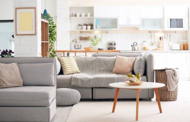 Modern mutfak ile şık daire iç. Ev tasarımı için fikir