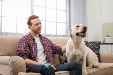 Kanepede kapalı sahibi ile Adorable sarı labrador geri almak