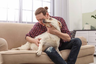 Kanepede kapalı sahibi ile Adorable sarı labrador geri almak
