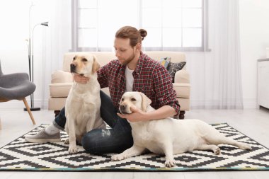 Ev sahibi ile Adorable sarı labrador retriever