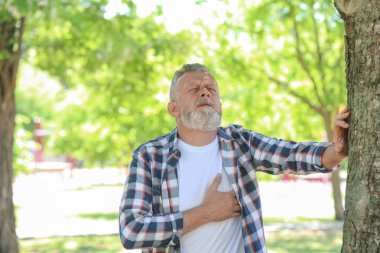 Olgun adam kalp krizi parkta