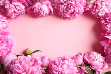 Güzel şakayık çiçekleri renk arka plan üzerinde çerçeve yapılmış