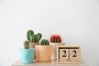 Açık renkli karşı masada güzel kaktüsler