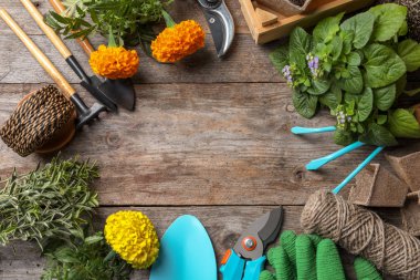 Bahçe aletleri ve bitkiler üzerinde ahşap arka plan düz yatıyordu kompozisyonu