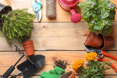 Bahçe aletleri ve bitkiler üzerinde ahşap arka plan düz yatıyordu kompozisyonu