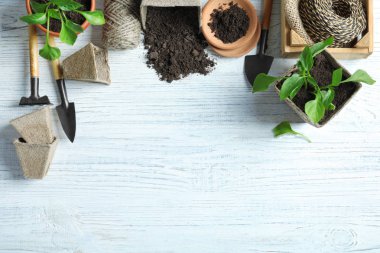 Bahçe aletleri ve bitkiler üzerinde ahşap arka plan düz yatıyordu kompozisyonu