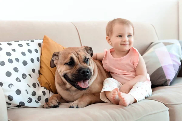 Criança Bonito Com Cão Sofá Casa — Fotografia de Stock