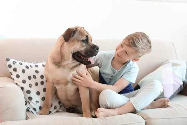 Criança Bonito Com Seu Cão Sofá Casa — Fotografia de Stock