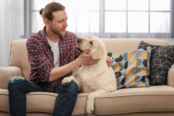 Adorable Labrador Jaune Récupérateur Avec Propriétaire Sur Canapé Intérieur — Photo