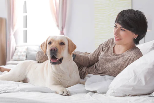 Schattige Gele Labrador Retriever Met Eigenaar Bed Binnenshuis — Stockfoto