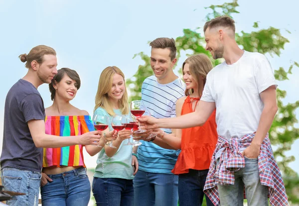 Jóvenes Con Copas Vino Aire Libre Picnic Verano —  Fotos de Stock