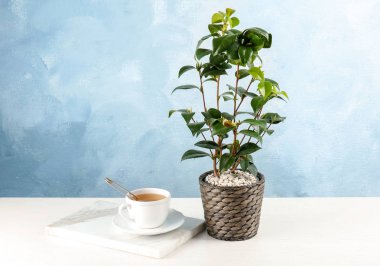 Masada sıcak içecek fincan yakınındaki çay Funda